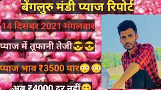 बेंगलुरु मंडी प्याज रिपोर्ट 14 दिसंबर तूफानी तेजी प्याज में😍😍 [upl. by Kellina186]