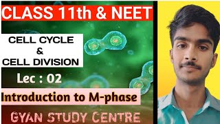 Introduction to Mitosis Phase Cell Cycle BiologyPart 02For 11th neet and other entrance exam [upl. by Tran]