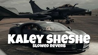 Kaley Sheshe  Addy Nagar  Slowed Reverb [upl. by Anissej]