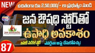 Business ideas in telugu  How to open jan aushadhi store for business  87 [upl. by Aznola]