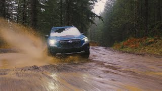 The 2022 Subaru Forester Wilderness [upl. by Victoria]