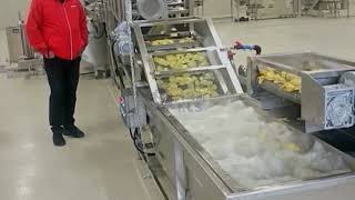 Fried potato chips production line [upl. by Nireves]