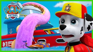 Sea Patroller Rescues  PAW Patrol  Cartoons for Kids Compilation [upl. by Esahc398]