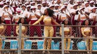 Bethune Cookman  Mr Ice Cream man  HBCU Marching Bands [upl. by Nordin]