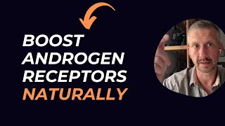 How To Increase Androgen Receptors  Heat Shock Proteins [upl. by Raveaux]