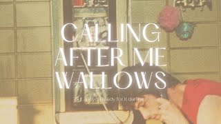 แปลไทย  Lyrics  Wallows  Calling After Me [upl. by Meelas484]