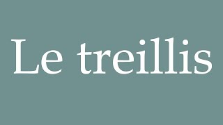 How to Pronounce Le treillis The trellis Correctly in French [upl. by Nosylla]