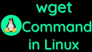 wget Command Explaind by a Cyber Security Expert  LinuxTeach  Tech 21 [upl. by Nonnel998]