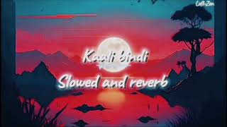 Kaali Bindi  slowed  reverb sanju Rathod ft Akriti negi kaalibindi [upl. by Joost]