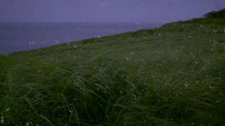 Rain amp Wind Sounds for Sleep amp Relaxation w Distant Thunder amp Ocean Waves  Relaxing White Noise [upl. by Assili]