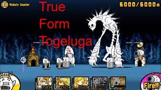 The Battle Cats  togeluga true formShishilan Pasalan  Review [upl. by Aicineohp]