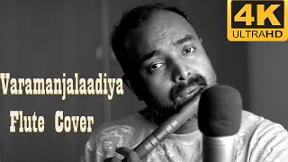 Varamanjalaadiya Flute Cover Video Song Vidyasagar  Manju Warrier  Biju Menon  Pranayavarnangal [upl. by Nodnyl753]