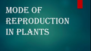 Modes of reproduction in plants  Asexual reproduction and sexual reproduction class 7 NCERT [upl. by Holtz]