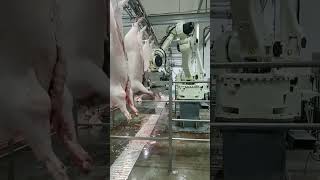 Pig Factory meat factory foodlovers foodblogger foodgasm fooddelivery shorts ytshorts [upl. by Frederich]