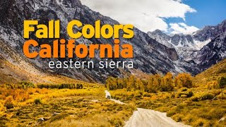 California Fall Color Hunt Bishop Mammoth Lakes June Lake  VLOG [upl. by Asenav]