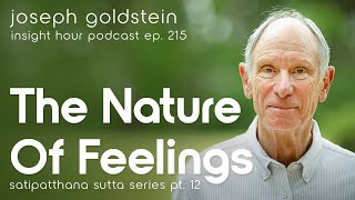 Mindfulness of Our Emotions – Joseph Goldsteins Satipatthana Sutta Series Pt 12 – Insight Hour 215 [upl. by Elyc]