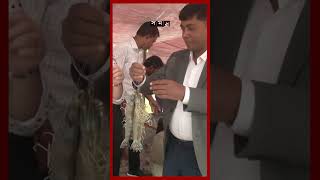 নতুন প্রযুক্তিতে চিংড়ি চাষে বড় চমক shrimp cenebiotictechnology khulna shorts somoytv [upl. by Ashok]