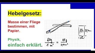 Hebelgesetz kleine Masse einer Fliege bestimmen mit Papier Physik [upl. by Nairrad]