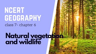 Chapter 6 Natural vegetation amp wildlife  Class 7  NCERT Geography  Types of Forest [upl. by Teillo]