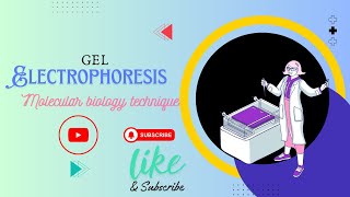 Gel Electrophoresis Explained A StepbyStep Tutorial   How to Perform Gel Electrophoresis [upl. by Sirrep]