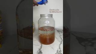 How to make traditional mead Homemade mead howtomakemead mead meadmaking honeywine [upl. by Beale]