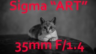 Sigma quotArtquot 35mm f 14 DG HSM Review  Sony Alpha mount [upl. by Amanda]