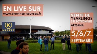 VENTE ARQANA 2018 en DIRECT [upl. by Doownil607]