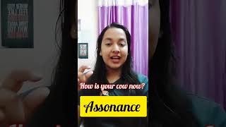 Assonance  Figure of Speech For UGC NETPGT TGT KVS NVS Dsssb SET English  ugcnet english [upl. by Jer]