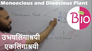 Difference in Monoecious and Dioecious Plants उभयलिंगाश्रयी एकलिंगाश्रयी by Simply The Best BIO [upl. by Aiuqram]