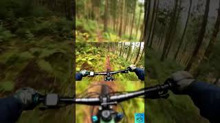 Baiersbronn Trails foryou mtb germany romania bikelife mountainbike viralvideo shorts [upl. by Ennaus177]