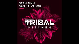 Sean Finn San Salvador Radio Edit [upl. by Kroy895]