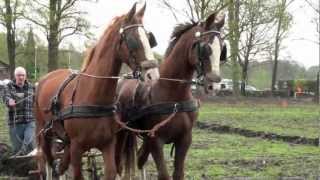 Ploegen met paarden 2012 [upl. by Ys]