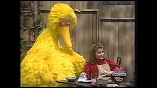 Sesame Street Episode 3166 January 3 1994 [upl. by Portuna]