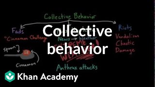 Aspects of Collective Behavior Fads Mass Hysteria and Riots  Behavior  MCAT  Khan Academy [upl. by Amalbena]