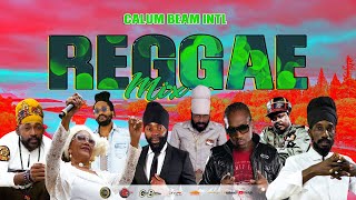 Reggae Mix 2023 Sep SizzlaBusy SignalLucianoLutan FyahInoah Calum beam intl [upl. by Enetsuj198]