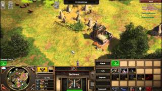 Age Of Empires III Russian Strelet rush [upl. by Fleece475]