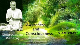 Nisargadatta Maharaj  I Am That  Item 11 Awareness And Consciousness Eternal And Relative [upl. by Yrellav]