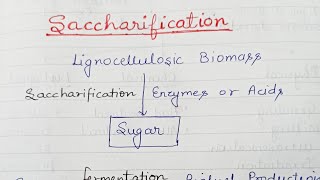 Saccharification Use of cellulosic feedstock for alcohol production [upl. by Tsew600]