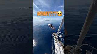 Poros Greece epic jump [upl. by Annahpos266]