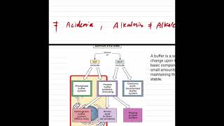 Acid base balance and its disorders [upl. by Twitt]