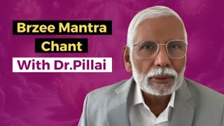 Brzee Mantra Chanting by DrPillai [upl. by Viddah]