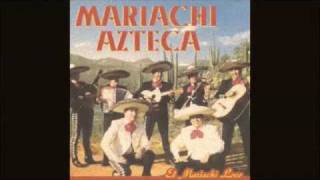 El Gato son as performed by Mariachi Azteca [upl. by Ohcamac]