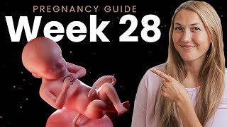 28 Weeks Pregnant  Week By Week Pregnancy [upl. by Maggie834]