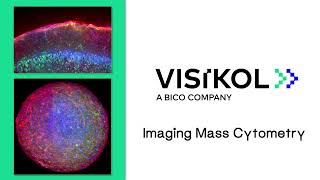 Imaging Mass Cytometry Overview [upl. by Enotna922]