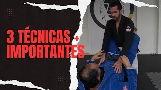 las 3 técnicas mas importantes del jiu jitsu brasileño [upl. by Vershen]