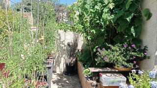 Un tour du potager en jardinières [upl. by Divd]