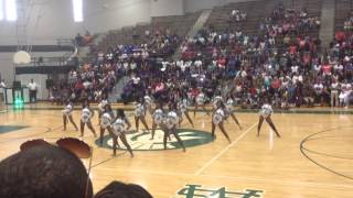 Memphis Prancing Tigerettes  Fieldshow 2014 [upl. by Muncey]