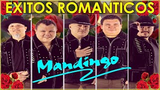 GRUPO MANDINGO EXITOS SUS MEJORES CANCIONES DE GRUPO MANDINGO  MIX ROMANTICAS 2024 [upl. by Ecirtnahs680]