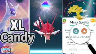 Best MEGA EVOLUTIONS to LEVEL UP for XL CANDY Boost  Pokémon GO [upl. by Meedan]