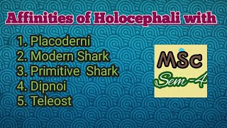 Affinities of Holocephali ZoologyFisheriesAll universities [upl. by Belier469]